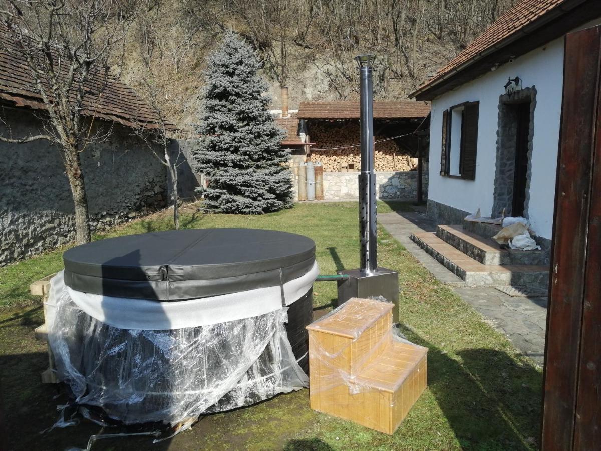 Willa Casa Sasca Montană Zewnętrze zdjęcie